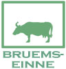 Bruemseinne